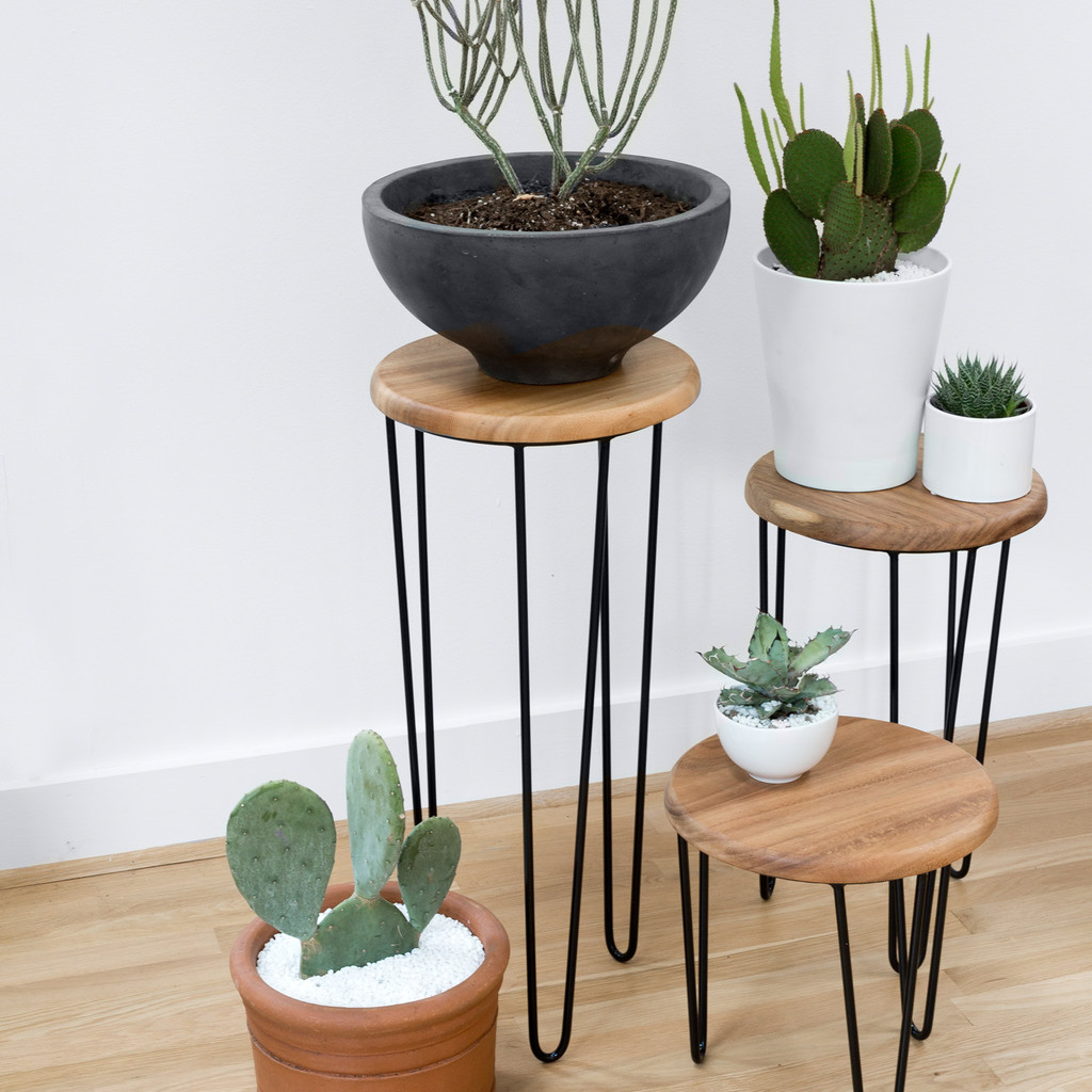 Необычный дизайн стульев: подставки для комнатных растений