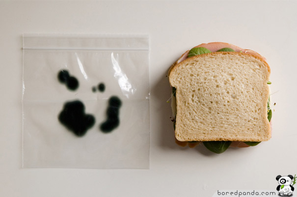 Прозрачная упаковка для хранения бутерброда