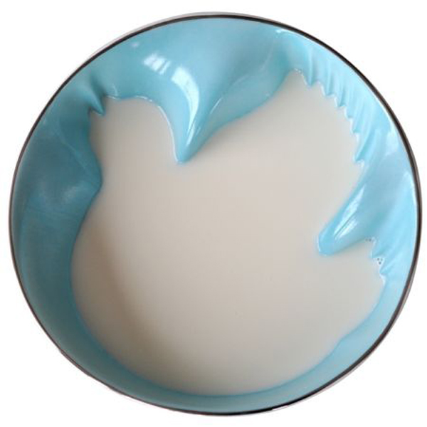 Голубая тарелка с силуэтом птицы