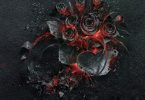Фотография «Пепел» от студии Ars Thanea: тлеющий на углях букет роз