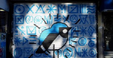 Проект Одюбон: орнитологические фрески на улицах Манхэттена