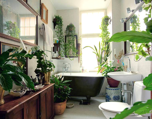 Оформление ванной комнаты растениями