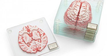 Стекируемые платы с изображением отдельных срезов человеческого головного мозга от компании ThinkGeek