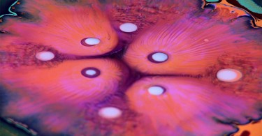 Брюс Райли: сюрреалистические узоры движения цветных потоков краски и смолы