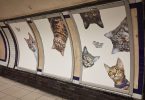 Беззаботное пространство без коммерческих объявлений: фотографии кошек в Лондонском метро