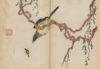 Университетская библиотека в Кембридже: древнее китайское издание с цветными иллюстрациями