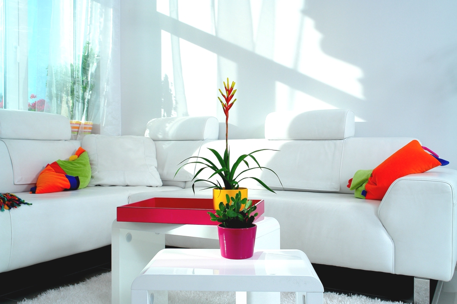 Белая мебель в гостиной уютной квартиры в Венгрии