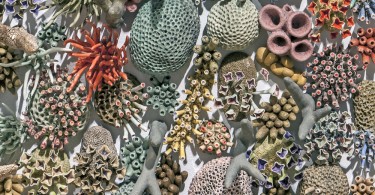 Кортни Мэттисон: керамические изображения морских обитателей