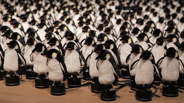 «Пингвин» – интерактивное зеркало от Даниэля Розина