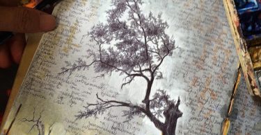 «Тайная жизнь деревьев»: альбомы путешествий художницы Дины Бродски
