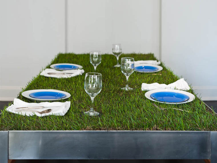 Высаженная трава на обеденном столе