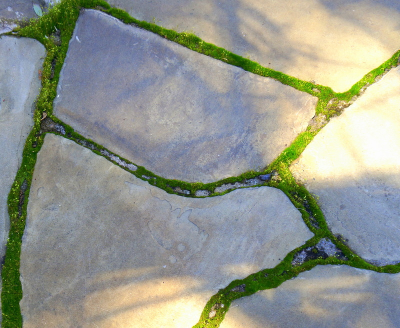 Фактурный камень в дизайне садовой дорожки