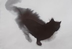 Эндре Пеновак и его акварельные чёрные кошки