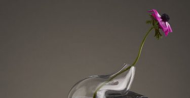Стеклянные вазы от шведской студии EO: скульптурные арт-объекты или ёмкости для цветов?