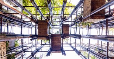 Фасад из бамбука: павильон изнутри