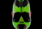 Яркие макро фотографии насекомых от Паскаля Гоэ