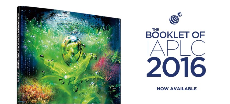 Дизайн аквариумов: итоги ежегодного Международного конкурса водных растений, 2016