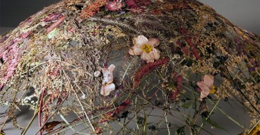 Трёхмерный цветочный гербарий от Игнасио Каналеса Арасила
