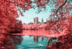 Центральный парк Нью-Йорка в голубом и розовом