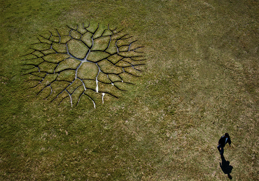 Мировое дерево: потрясающая ленд-арт инсталляция Кристиана Балога