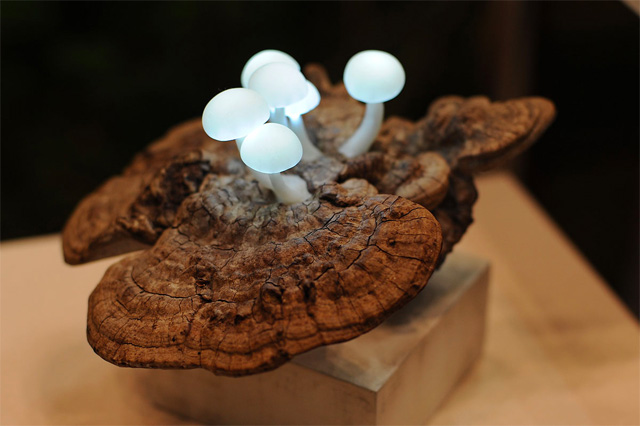Необычные миниатюрные светильники в форме гриба от Yukio Takano