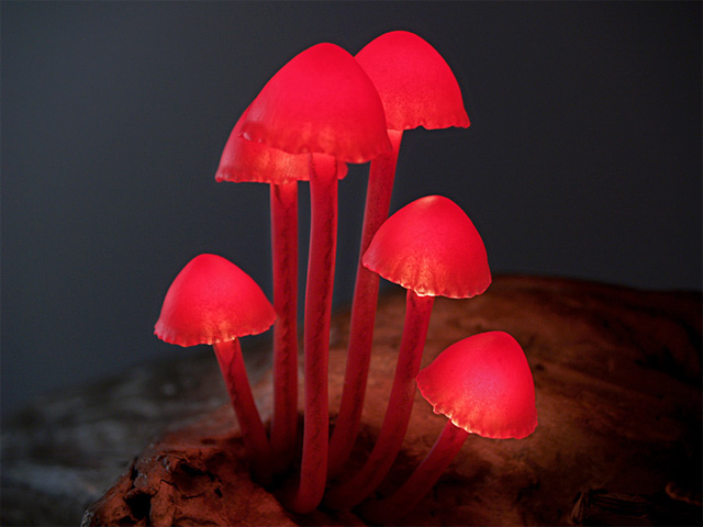 Красные миниатюрные светильники в форме гриба от Yukio Takano