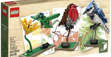 Томас Поулсом: любовь к кирпичикам LEGO и певчим птицам