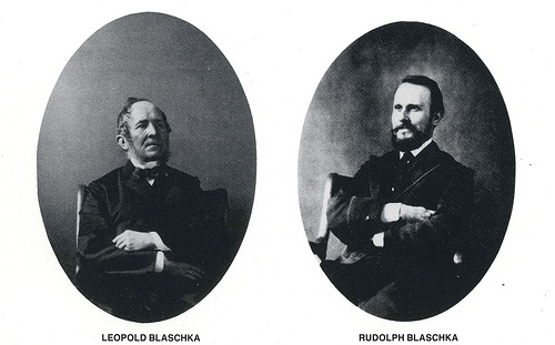 Леопольд (1822–1895) и Рудольф Блашка (1857–1929) – художники-ювелиры изделий из стекла, Дрезденская мастерская