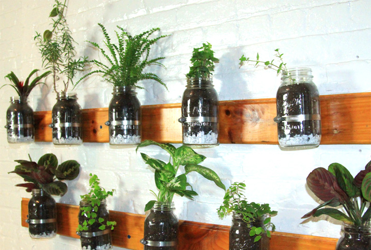 Мини-баночки с растениями, закреплённые на деревянную основу стены на 