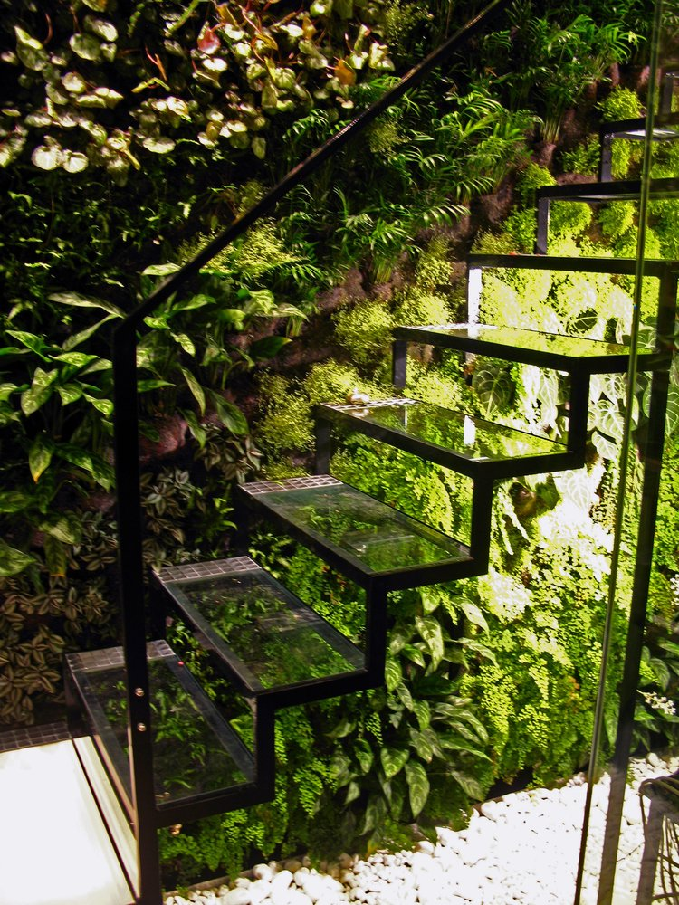 Зелёный сад, расположенный под прозрачной лестницей