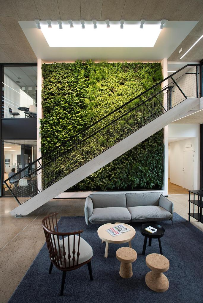 Живая зелёная стена в интерьере офиса