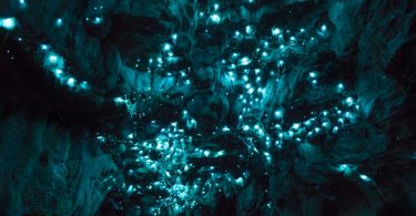 Фотопроект Luminosity Джозефа Майкла: новозеландские пещеры, освещённые живыми гирляндами