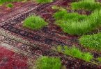 Зелёные газоны на персидском ковре: художественные метафоры бренности бытия от Мартина Рота