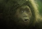 Социальная реклама от студии Marc&Emma: очаровательная войлочная обезьянка исследует сад