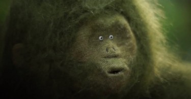 Социальная реклама от студии Marc&Emma: очаровательная войлочная обезьянка исследует сад