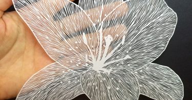Резка бумаги как декоративно-прикладное искусство: нежные цветы из коллекции Мод Уайт