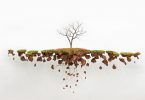 Хорхе Майет: скульптуры деревьев с обнажёнными корнями как метафора утраченной родины
