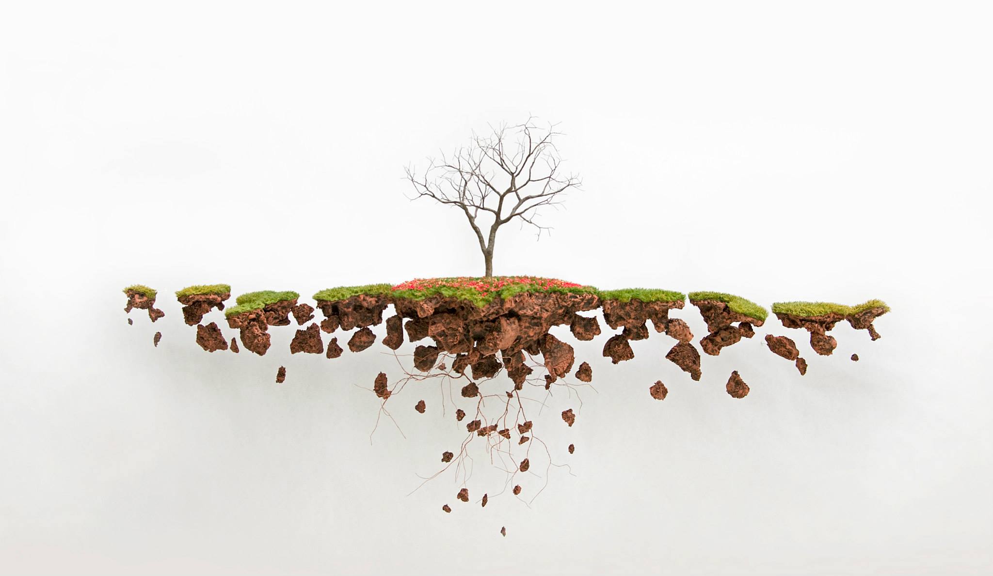 Хорхе Майет: скульптуры деревьев с обнажёнными корнями как метафора утрачен...