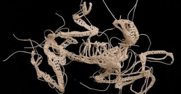 Вязание крючком от Кейтлин Маккормак: скелеты животных как напоминание о преходящей сущности бытия