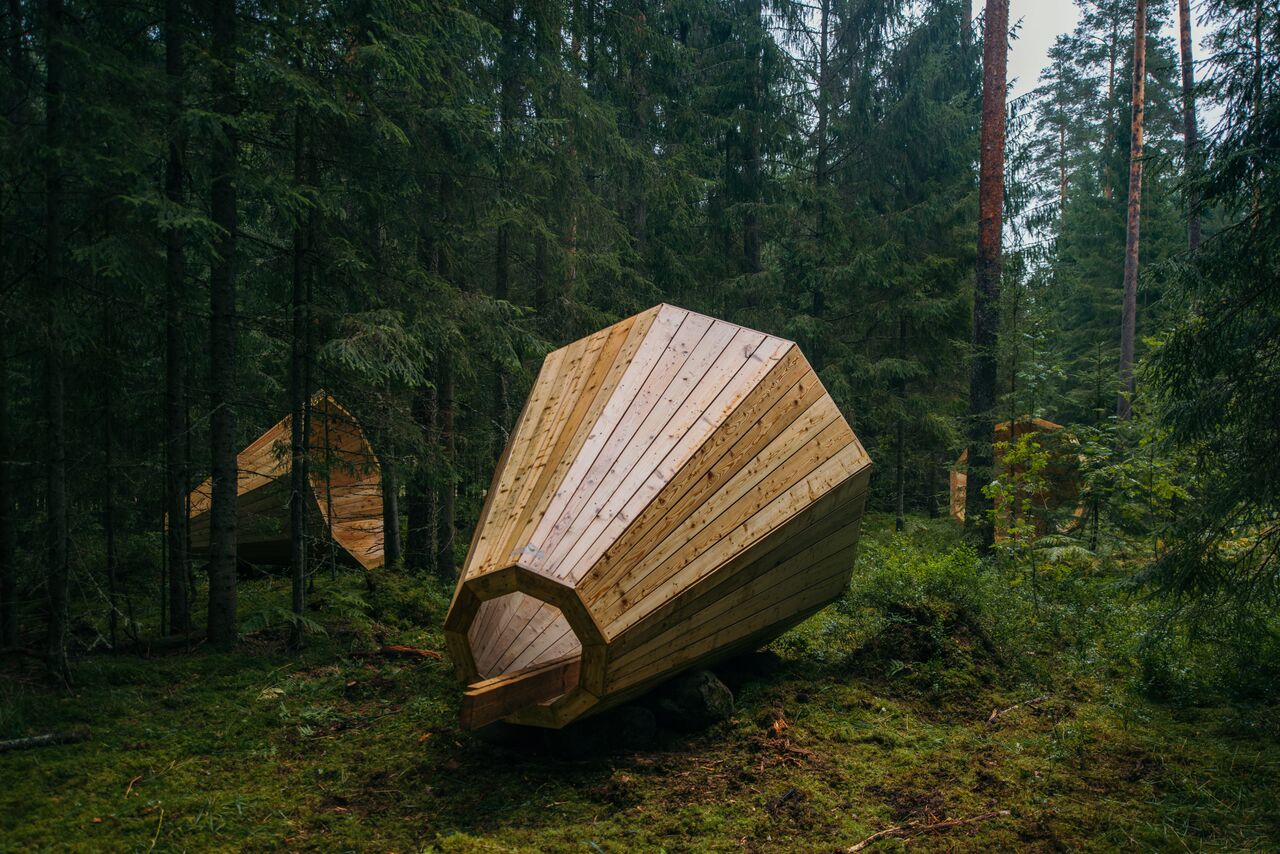Деревянный лес арт объект