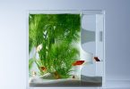 Харука Мисава: мини-аквариумы с трёхмерным декором, напечатанным на 3D-принтере