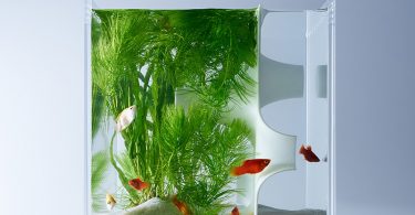Харука Мисава: мини-аквариумы с трёхмерным декором, напечатанным на 3D-принтере