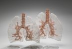 Причудливое вязание от Энн Мондро: анатомические скульптуры из проволоки