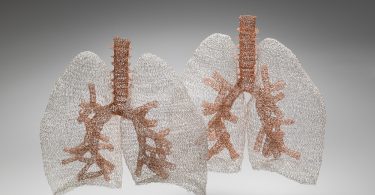 Причудливое вязание от Энн Мондро: анатомические скульптуры из проволоки