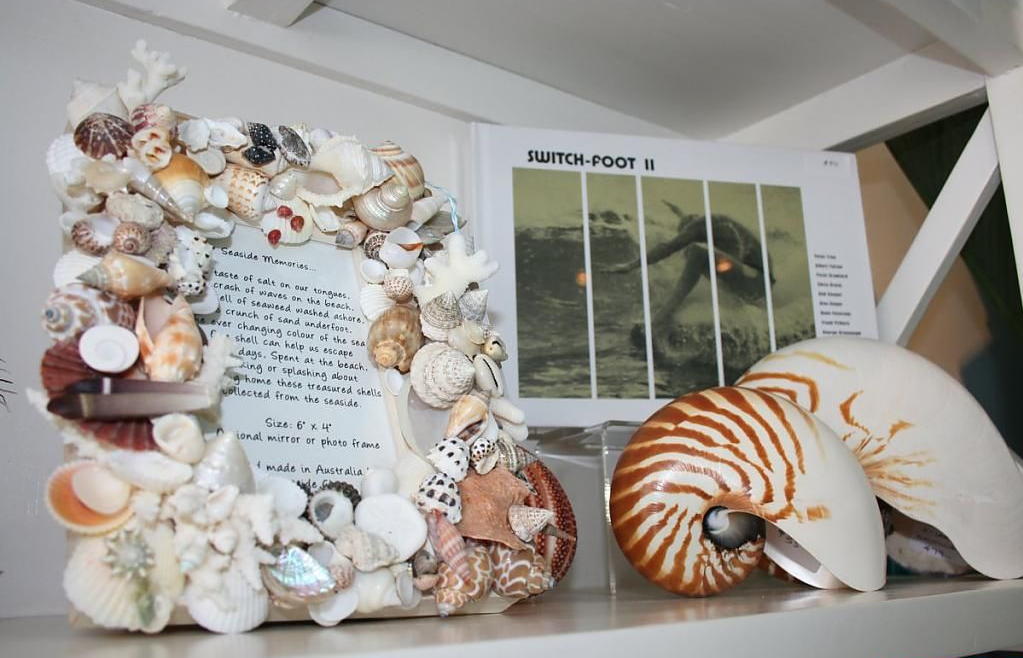 Морские ракушки в интерьере + Фото » Дизайн & Декор своими рукам�и