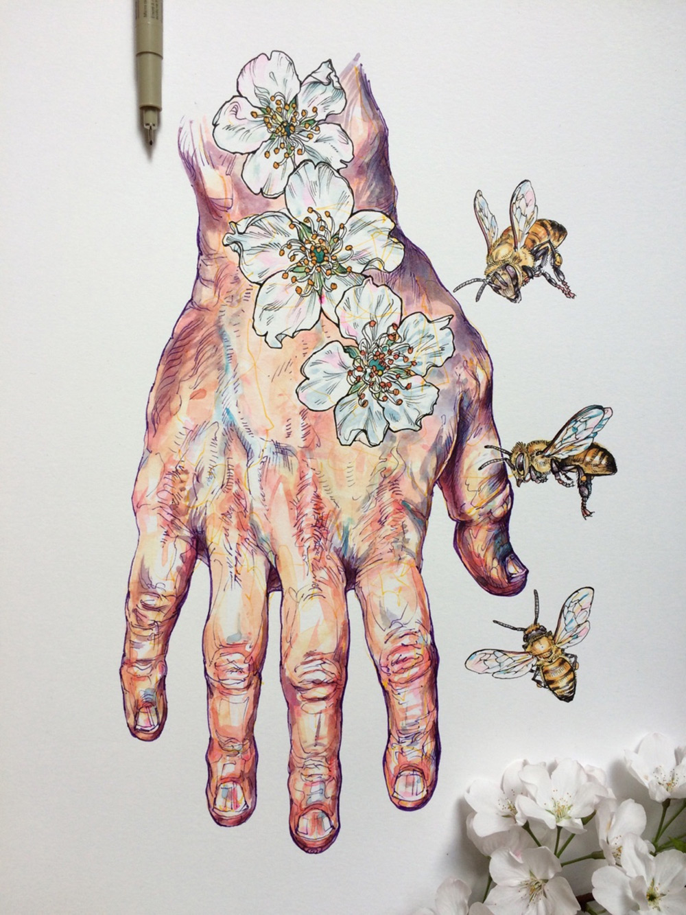 Ноэль Баджес Пью: акварельные иллюстрации, вдохновлённые природой