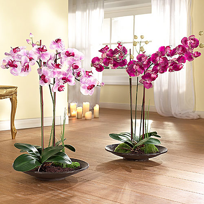 Розовые орхидеи на посудине в интерьере