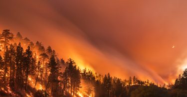 «Terra Flamma»: впечатляющие фотографии пожаров в Калифорнии от Стюарта Пелли