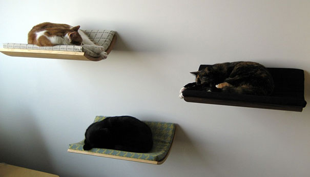 pet cats dogs furniture idea 15 Домострой