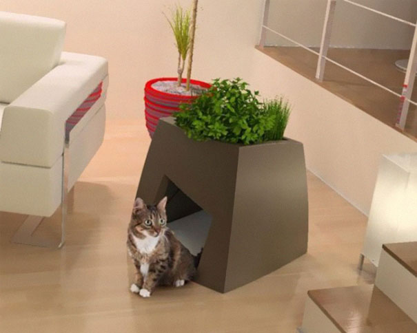 pet cats dogs furniture idea 29 Домострой